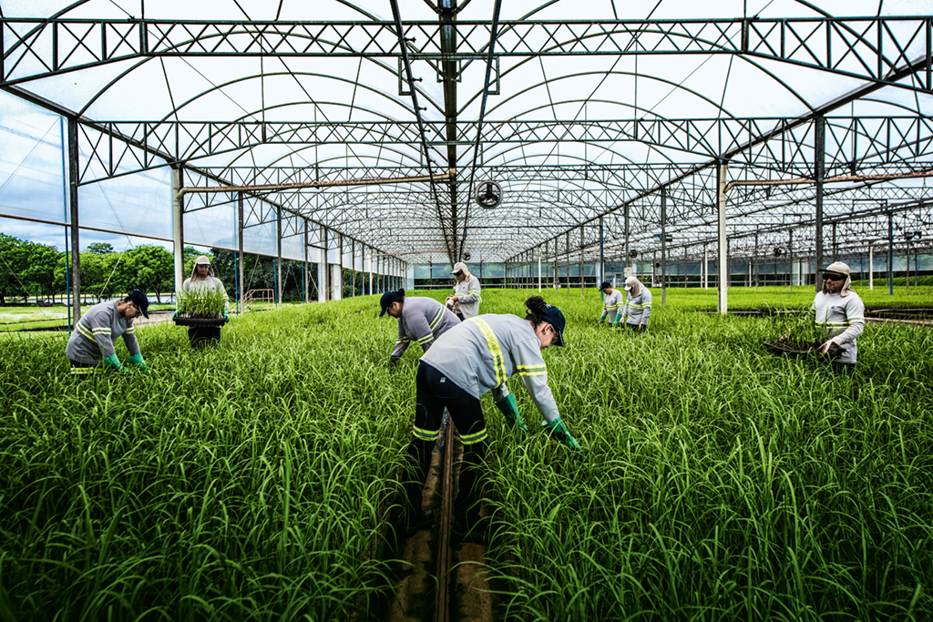 São Martinho ganha prêmio principal do Melhores Empresas para Trabalhar
