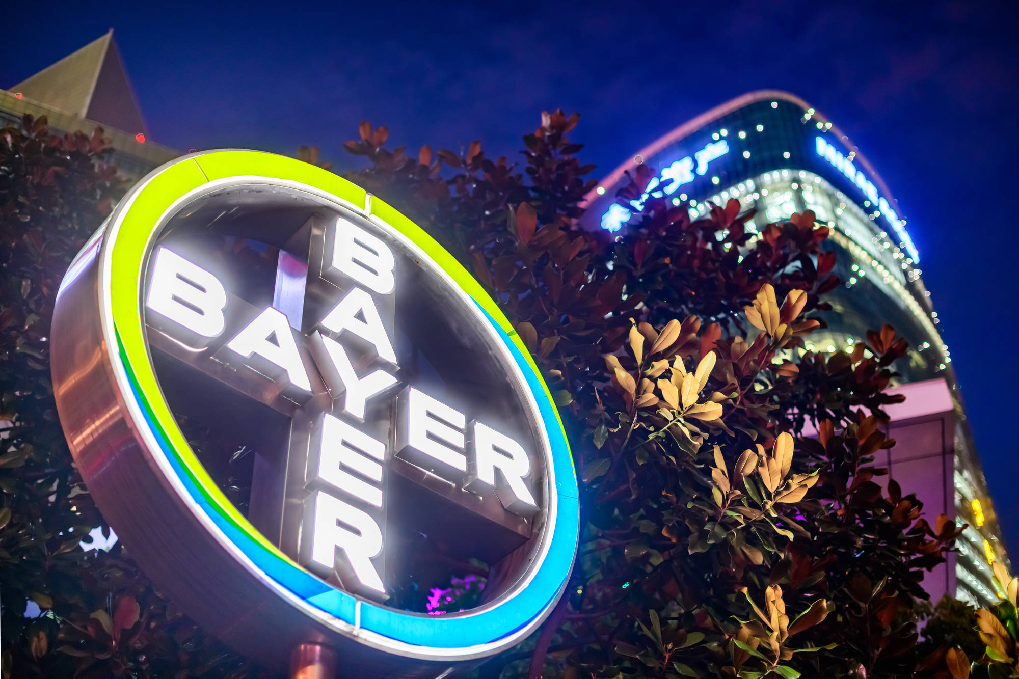 bayer