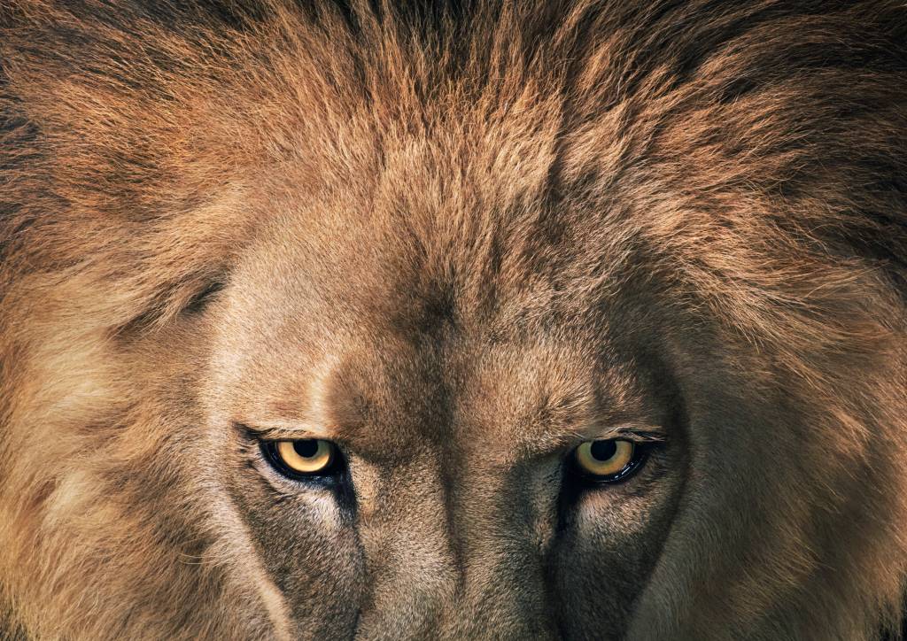 Cerca de 19 milhões não enviaram declaração do IR a dez dias do prazo