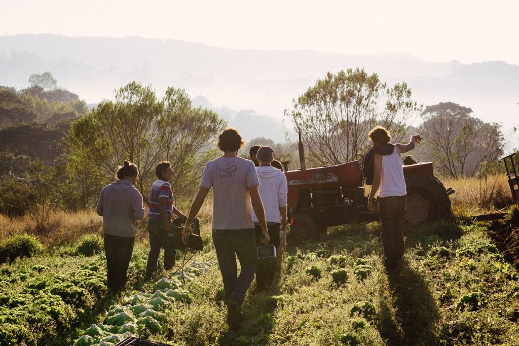 SA283_BASTIDORES4 Tomás e outros em uma fazenda parceira da Raízs, em Ibiuná.