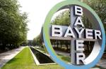 bayer