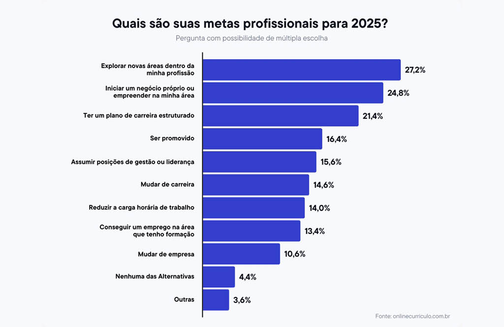 grafico_metas_profissionais_layout_site -