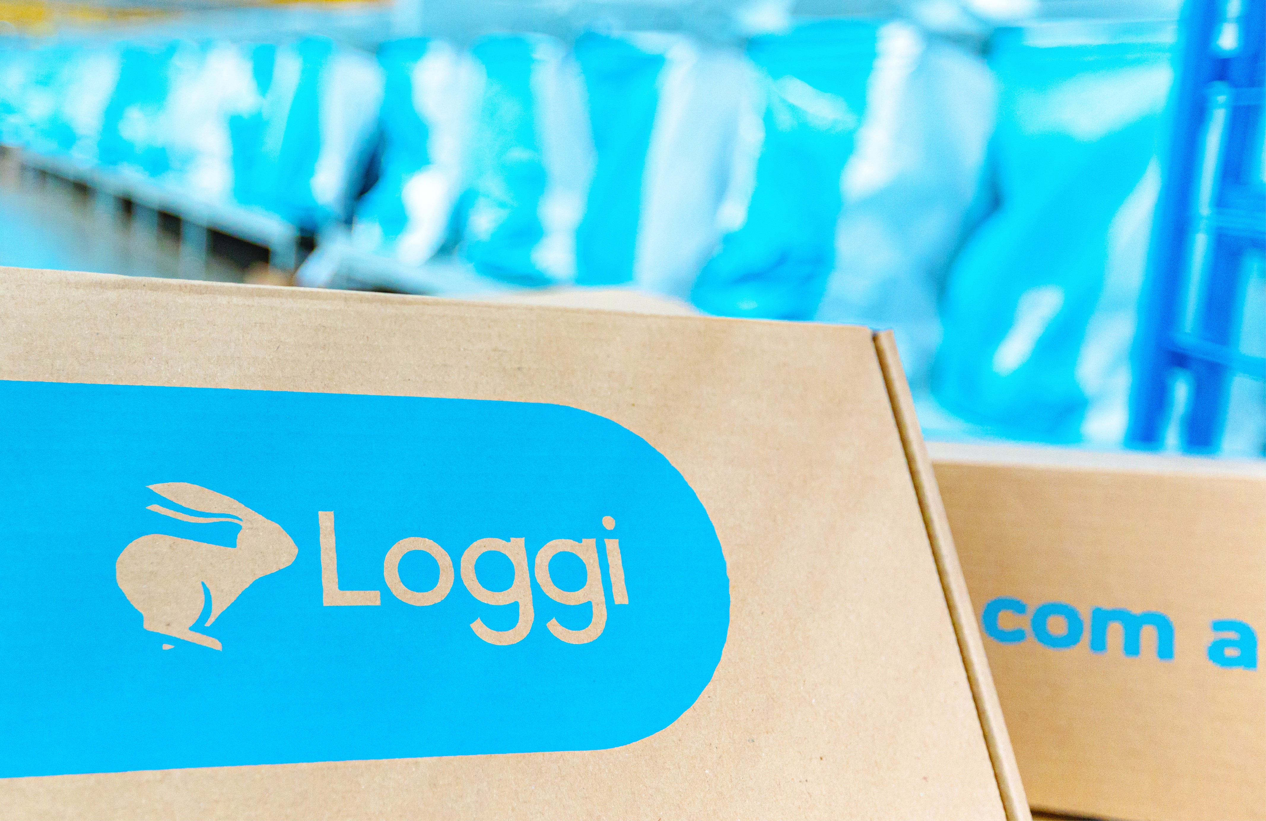 Loggi